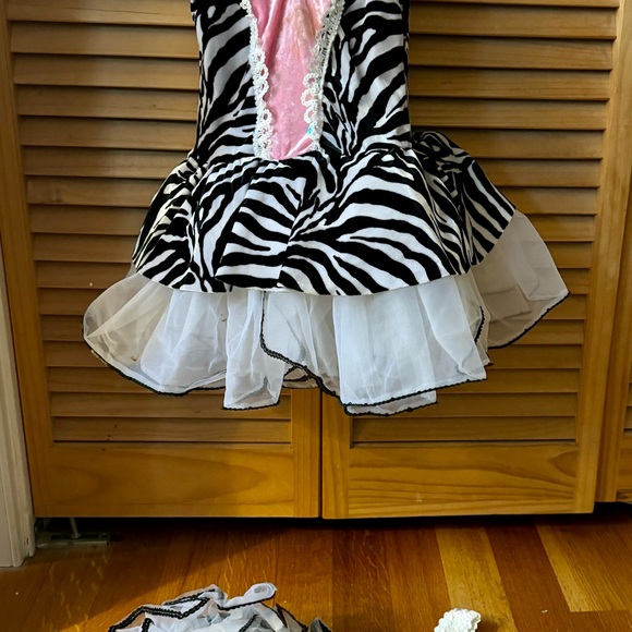 Small child Zebra dance costume—ages 2-3. Approx 18” too to bottom. Lined. - Picture 3 of 6